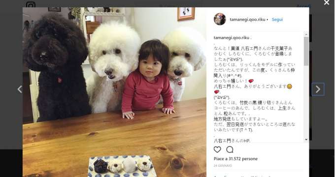 Tamanegi, la nonna giapponese che ha conquistato Instagram