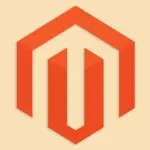 Perché è importante migliorare la velocità di Magento