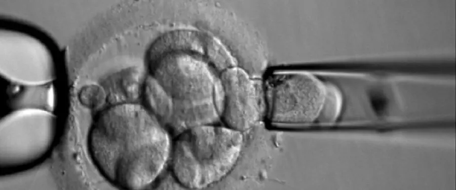 Come evitare l'aborto spontaneo? Rischi, fasi, analisi, verifiche, sintomi