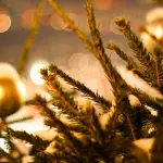 Idee regalo natalizie: cosa donare a una persona cara che sta vivendo una svolta nello studio o nel lavoro