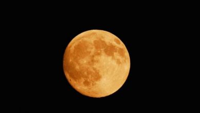 Segnate questa date: 31 Gennaio 2018. Ebbene sì, assisteremo all'eclissi di super Luna, un evento unico e molto raro che solo alcuni fortunati potranno assistere.